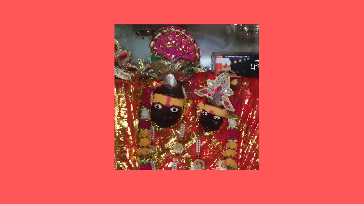 Narayani Mata Temple Rajgarh Alwar Rajasthan