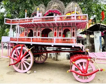 Devotees during Rath Yatra at Jagannath Temple Alwar